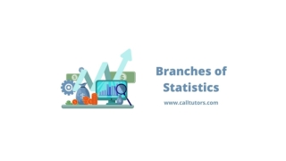 Everything You Need to Know About Branches of Statistics