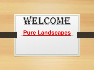 Get the best Artificial Grass in Bridgemary