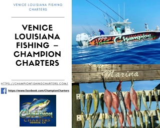 Fishing Charters in Venice Louisiana