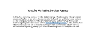 Youtube Marketing Services Agency