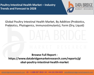 Global Poultry Intestinal Health Market – Industry Trends and Forecast to 2028