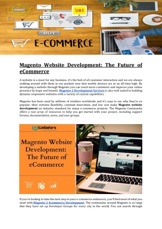 Magento Website Development The Future of eCommerce