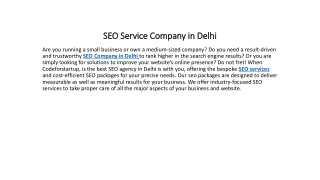 SEO Service Company in Delhi