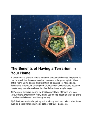 The Benefits of Having a Terrarium in Your Home
