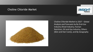Choline Chloride Market Global Analysis and Forecasts by By End-Use Industry