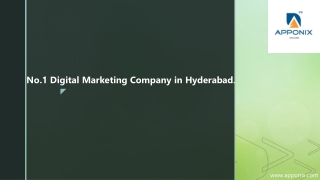 No.1 Digital Marketing Company in Hyderabad Apponix