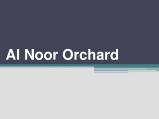 Al Noor Orchard