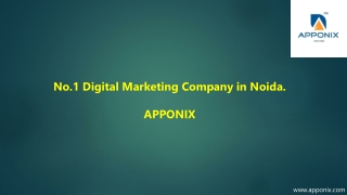No.1 Digital Marketing Company in Noida Apponix.