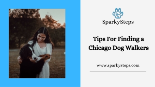 Tips For Finding a Chicago Dog Walkers | SparkySteps