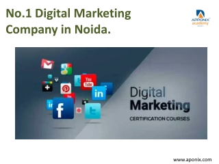 No.1 Digital Marketing Company in Noida.