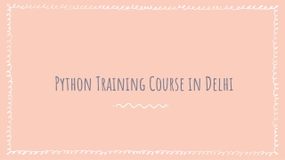 Python Training Course in Delhi