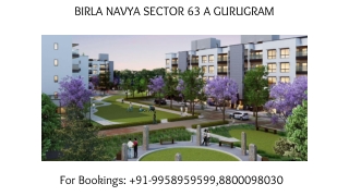 Birla Navya sector 63 A Gurgaon special offers, Birla Navya sector 63 A NRI sche