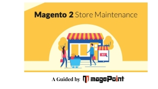 Magento 2 Store Maintenance
