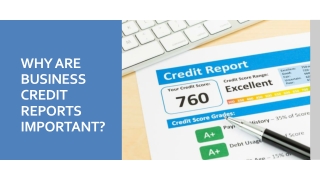 WHY ARE BUSINESS CREDIT REPORTS IMPORTANT