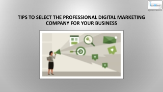 Tips to select the Professional Digital Marketing company for Your Business