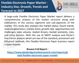 Flexible Electronic Paper Market Growing Impressive Business Opportunities