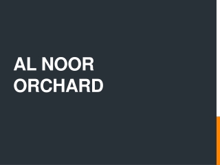 Al Noor Orchard