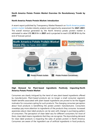 North America Potato Protein Market Overview On Revolutionary Trends by 2030