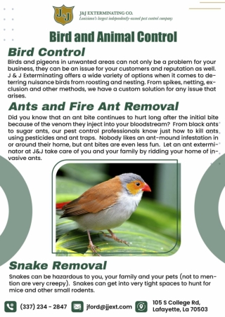 Lafayette termite Pest Control