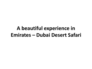 Dubai Desert Safari