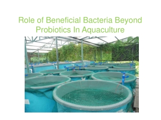 Role of Beneficial Bacteria Beyond Probiotics In Aquaculture