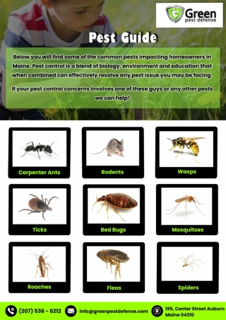 Residential Pest Control Maine