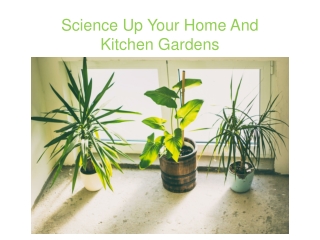 Science Up Your Home And Kitchen Gardens