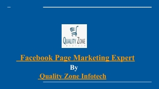 Facebook Page Marketing Expert