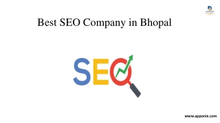 Best SEO Company in Bhopal