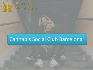 Cannabis Social Club Barcelona