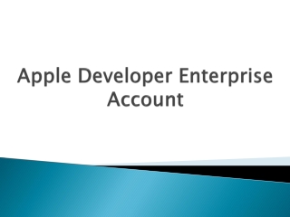 Apple Developer Enterprise Account