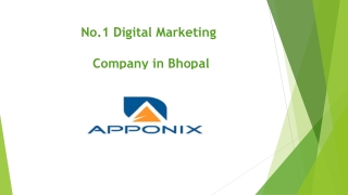seo company in bhopal