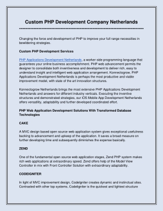 Custom PHP Development Company Netherlands