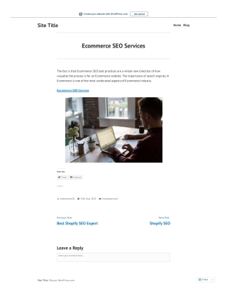 Ecommerce SEO Services