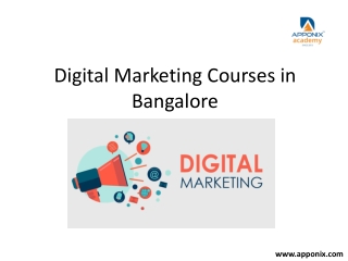 Digital Marketing Course in Bangalore