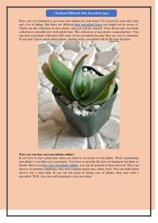 Checkout Different Aloe Succulent types