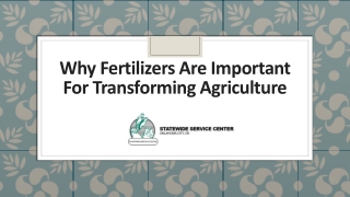 Why Fertilizers Are Important For Transforming Agriculture