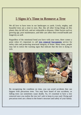 What Are the Signs Which Indicate That It's Time to Remove a Tree?