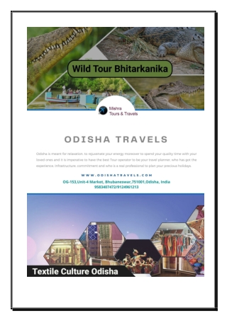 Enjoy with enchanting Odisha tour and travels packages from Mishra Tours &Travel