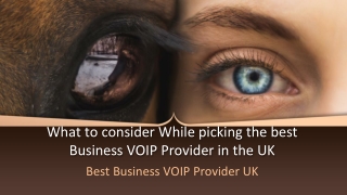 What to consider While picking the best Business VOIP Provider in the UK