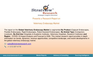 Veterinary Endoscopy Market, Dynamics, and Market Analysis