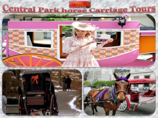 Central Park horse Carriage Tours