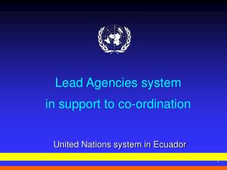 Lead Agencies system in support to co-ordination