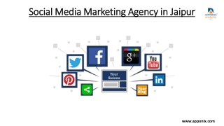 Social Media Marketing Agency in Jaipur
