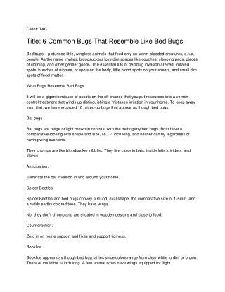 6 Common Bugs That Resemble Like Bed Bugs_ TAC