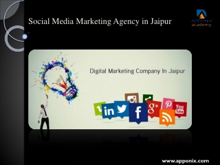 Social Media Marketing Agency in Jaipur