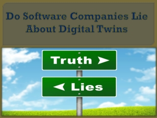 Do Software Companies Lie About Digital Twins