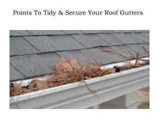 Best Roof Gutter Cleaning in Melbourne - Regal