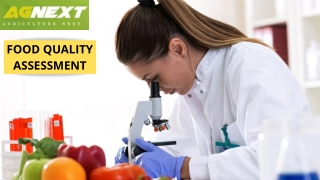 Why Spice Quality Testing Is Required?