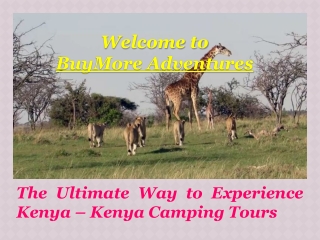 The Ultimate Way to Experience Kenya-Kenya Camping Tours